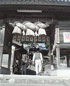d0002395_2159274.jpg