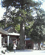d0002395_22282488.jpg