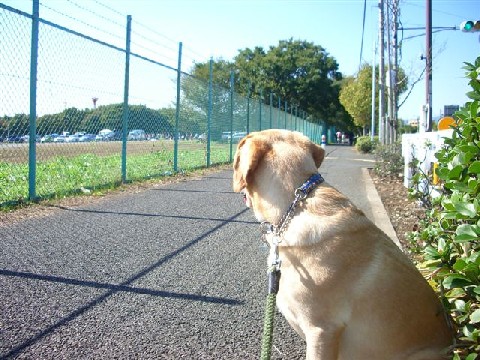 e0046305_1451069.jpg