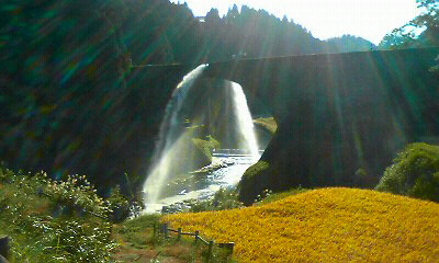 d0048007_21162254.jpg