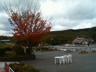 f0127408_22474148.jpg
