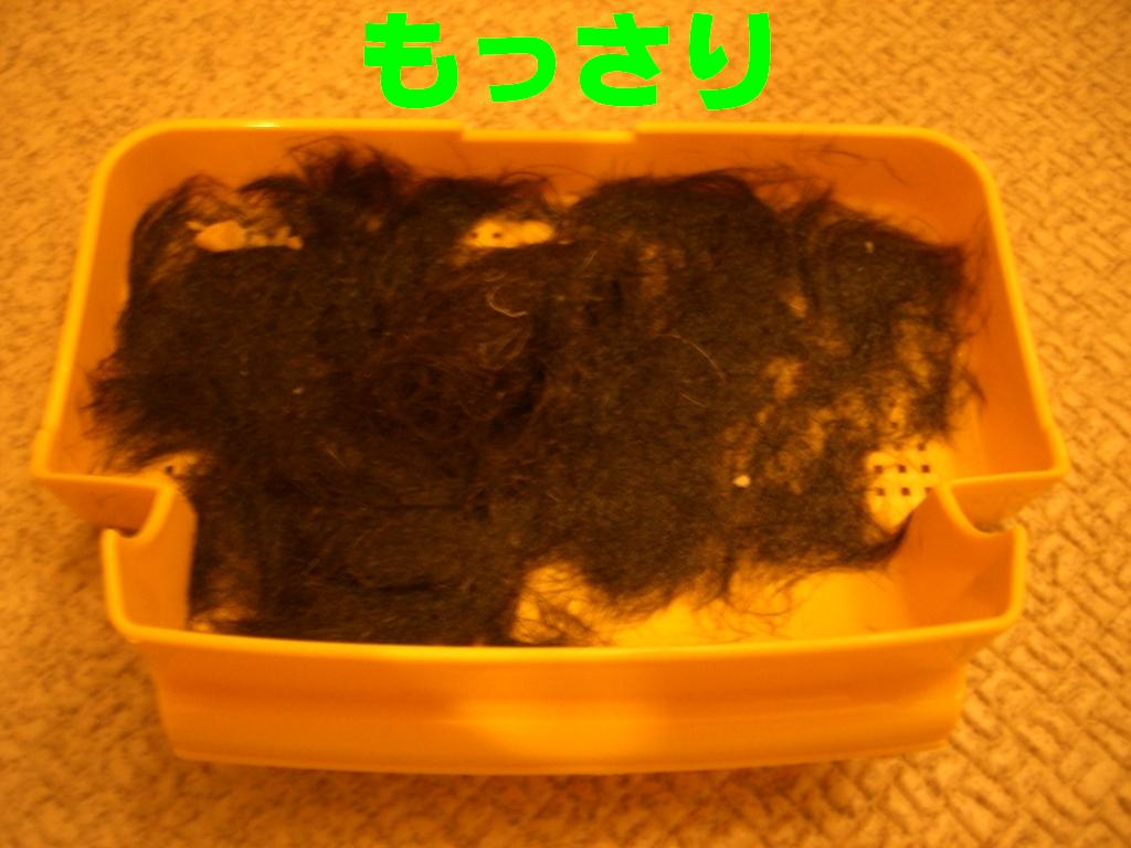 c0113109_0568.jpg