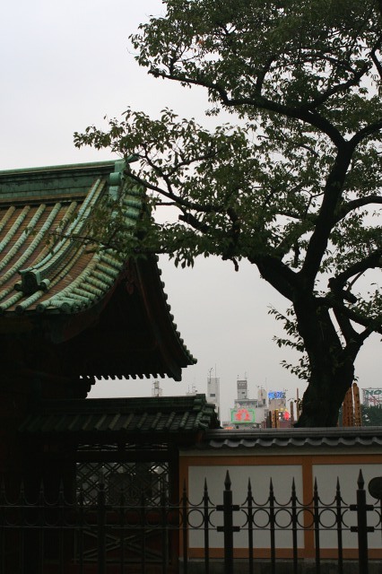 b0061717_13231638.jpg