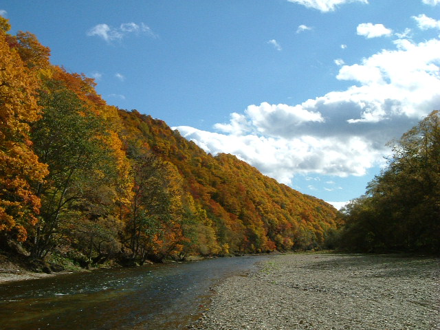 f0153018_18475752.jpg