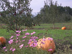 b0034422_23235029.jpg