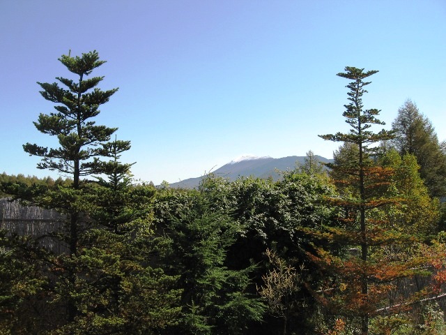 c0115922_22362515.jpg