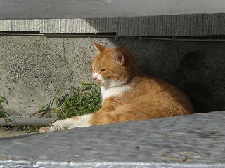 a0056523_126216.jpg