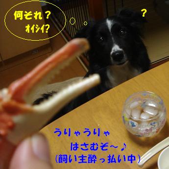 a0105428_2137223.jpg