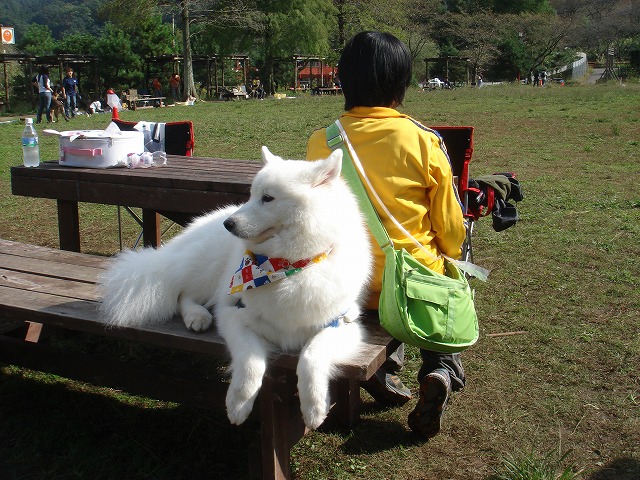 d0059028_22205672.jpg
