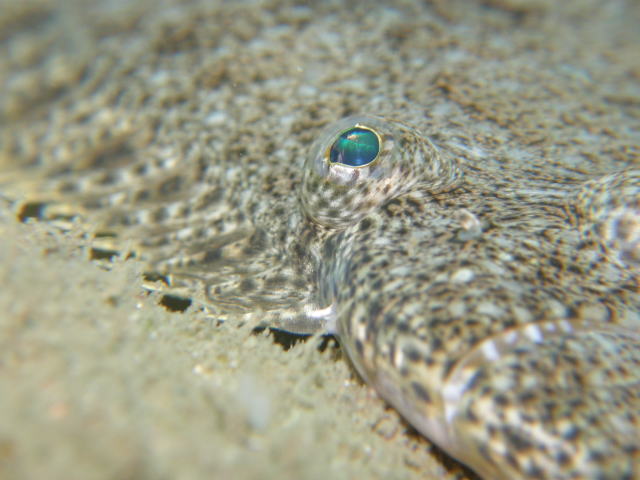 c0034029_2232640.jpg