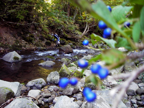 c0090530_20222751.jpg