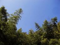 b0114333_1693284.jpg