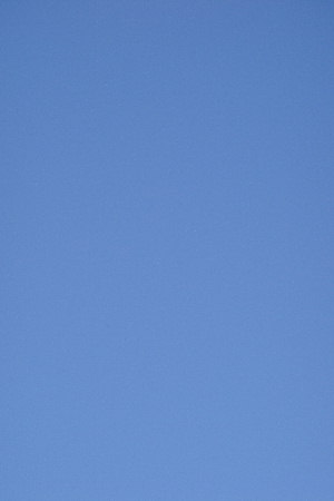 c0093339_232350100.jpg