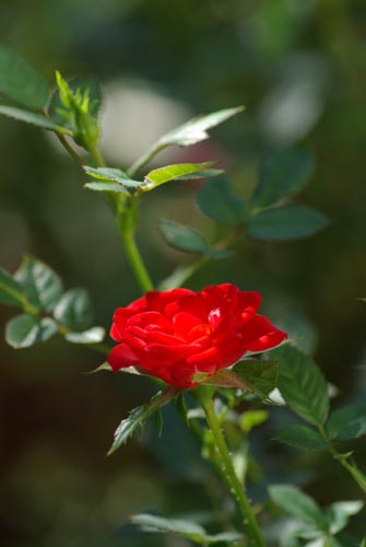 f0149442_14212161.jpg