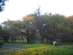 f0005043_2139756.jpg