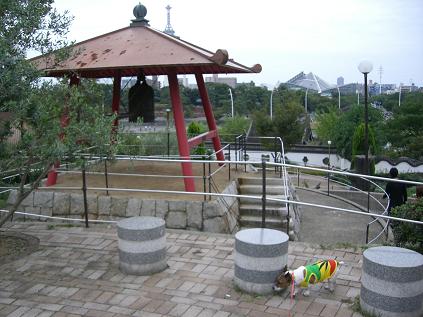 c0113146_171671.jpg