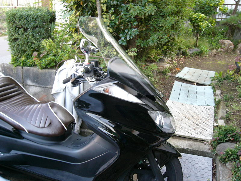f0096947_1658567.jpg