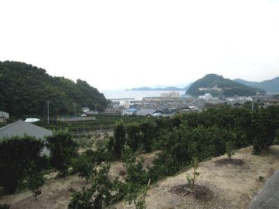 a0090451_23391732.jpg