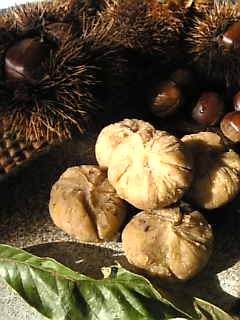 c0069552_95766.jpg