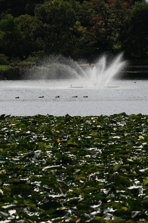 f0049152_0192944.jpg