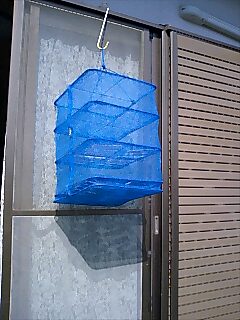 f0063356_13461479.jpg