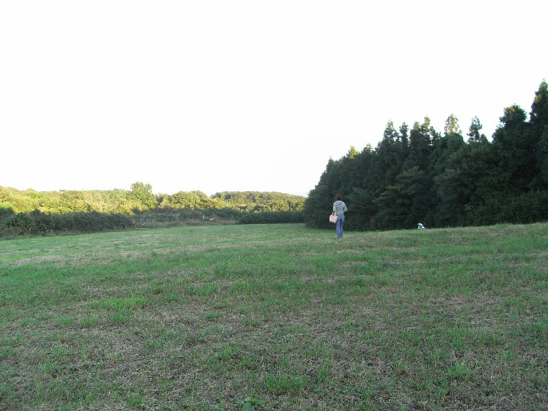 a0105961_11541552.jpg