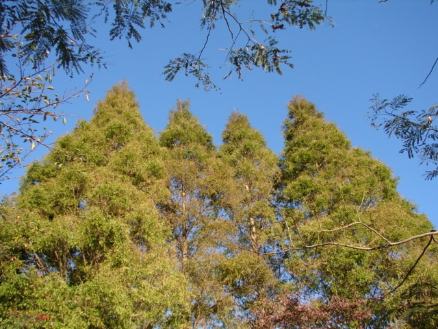 b0061261_11185796.jpg