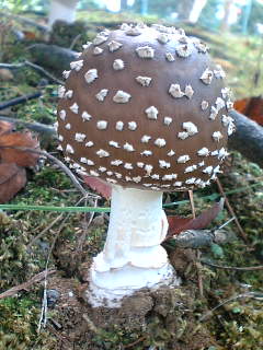 b0061261_112649100.jpg