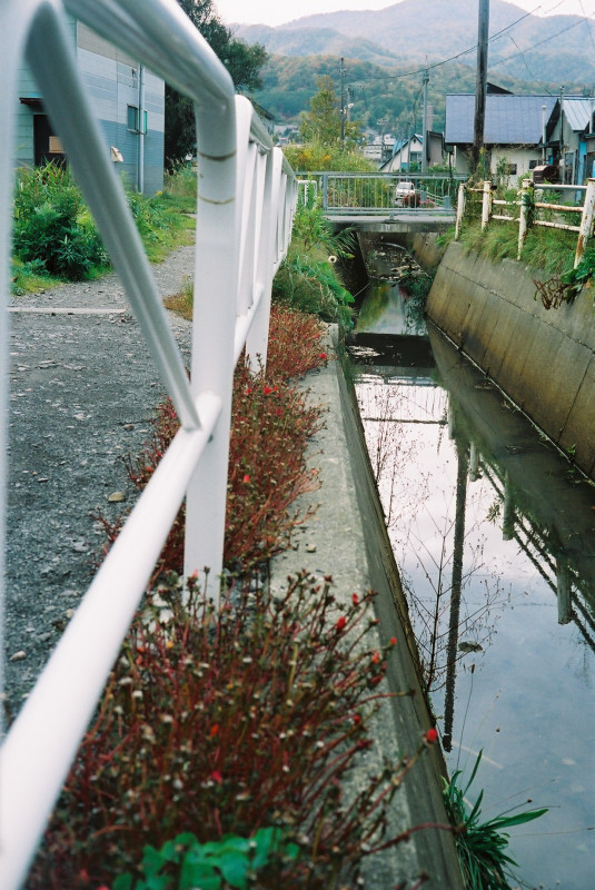 c0084666_10224269.jpg