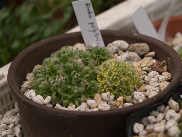 d0025568_7525736.jpg