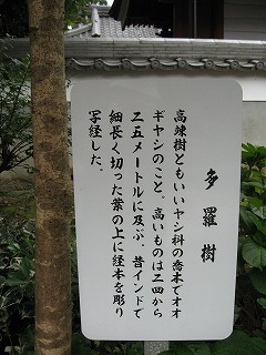 e0041168_113049.jpg