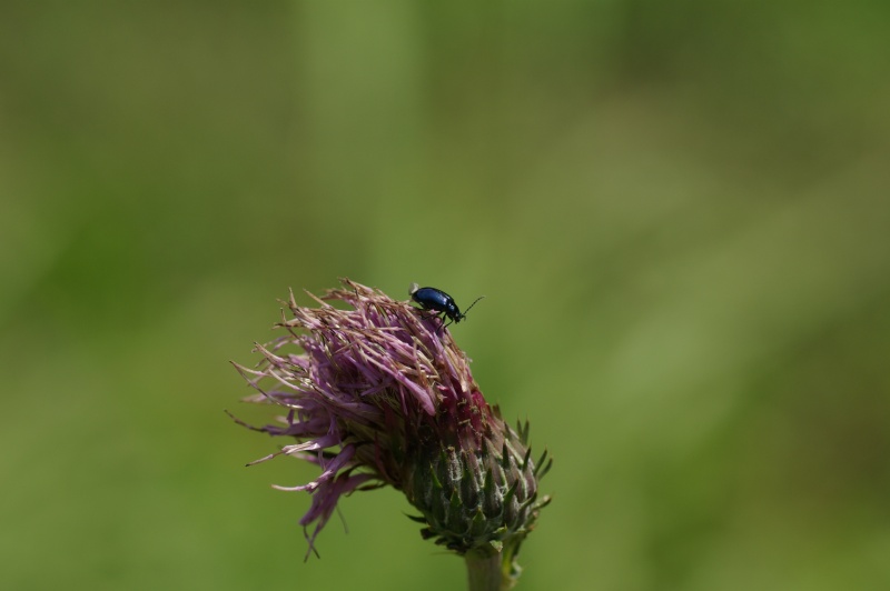 b0070071_959039.jpg