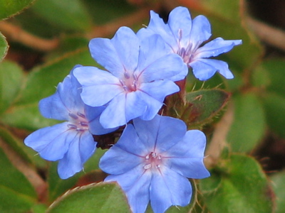 d0050472_17114670.jpg
