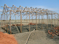 e0025073_2284723.jpg
