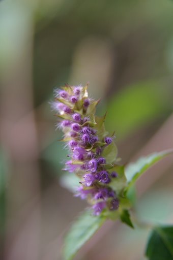 f0054075_21294630.jpg