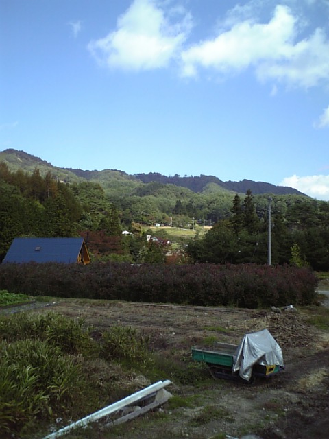 c0124776_74472.jpg