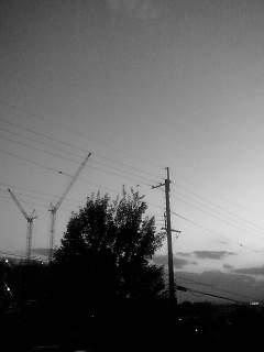 f0100480_1559265.jpg
