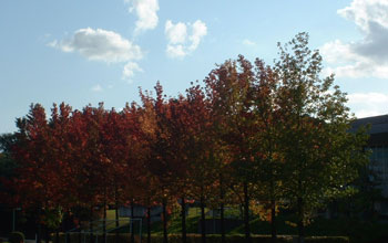 b0098881_2314723.jpg