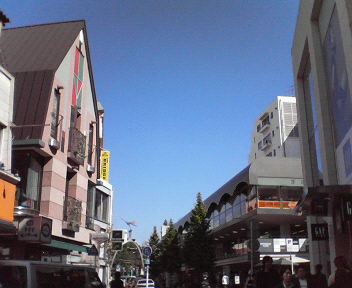 d0056881_226917.jpg