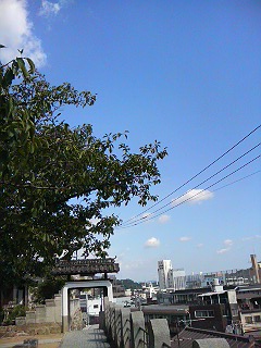 d0096585_13354730.jpg
