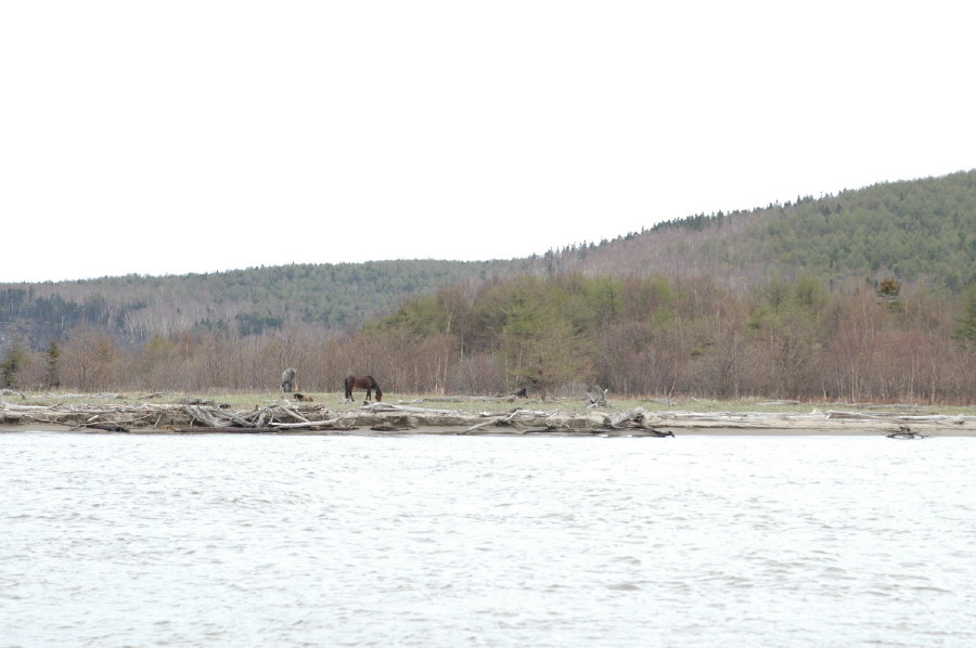 d0127888_2012224.jpg