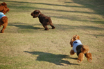 c0130389_2121557.jpg