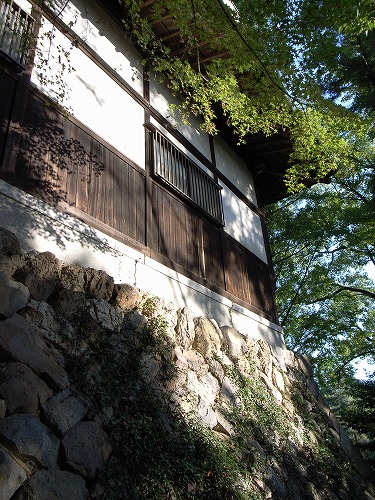 b0119493_235175.jpg