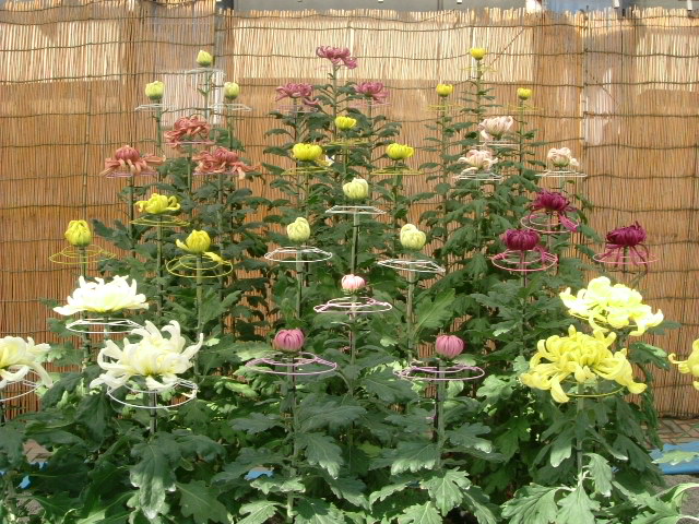 b0044296_18285343.jpg