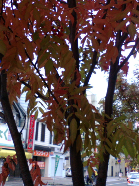 e0126302_936287.jpg