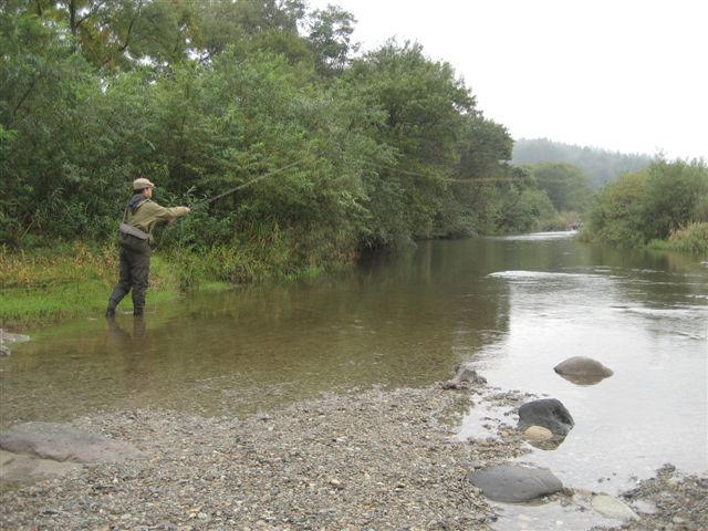 d0126708_21231961.jpg