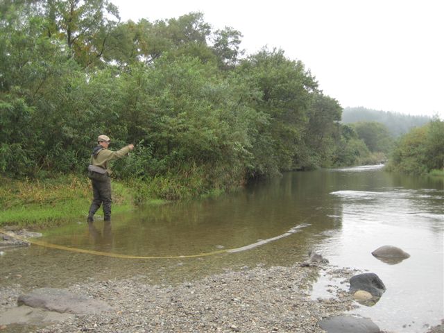 d0126708_2124466.jpg