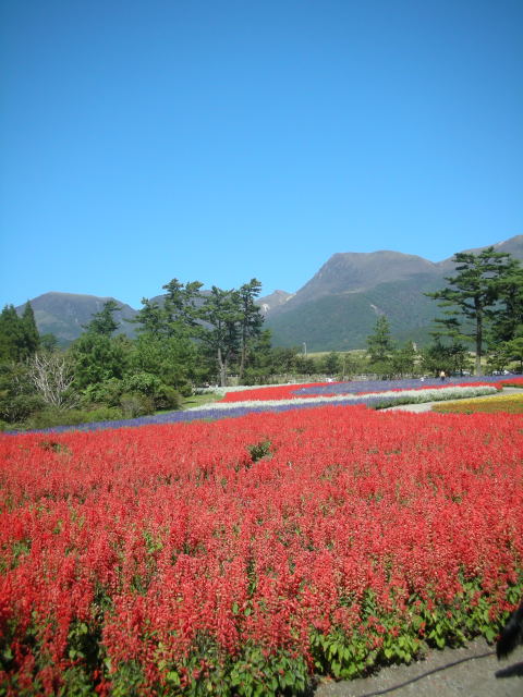 c0017311_1134242.jpg