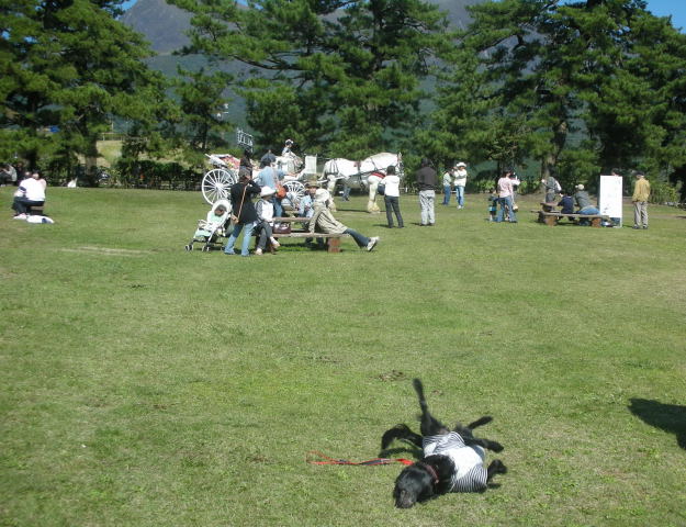 c0017311_1181731.jpg