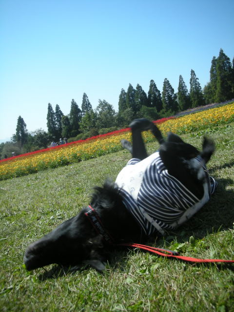 c0017311_1192714.jpg